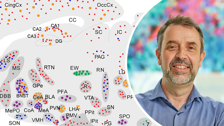 Research Group Molecular Neurogenetics