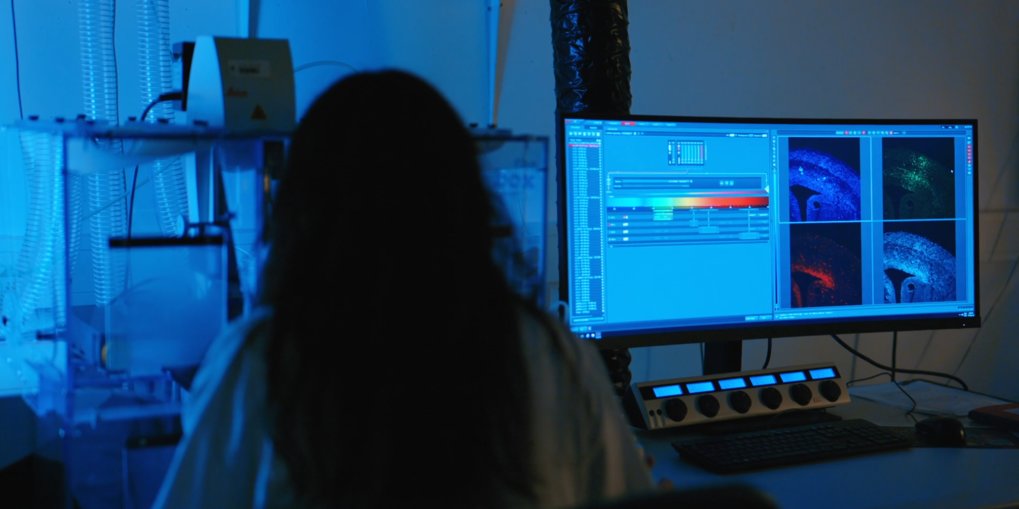 Researcher working at the microscope